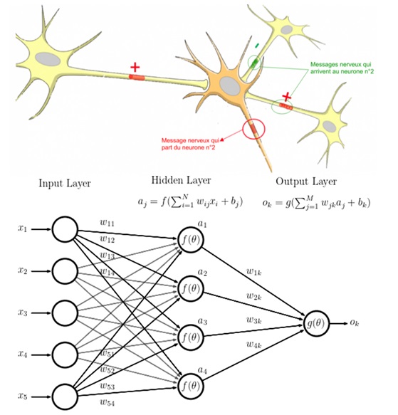 neural network