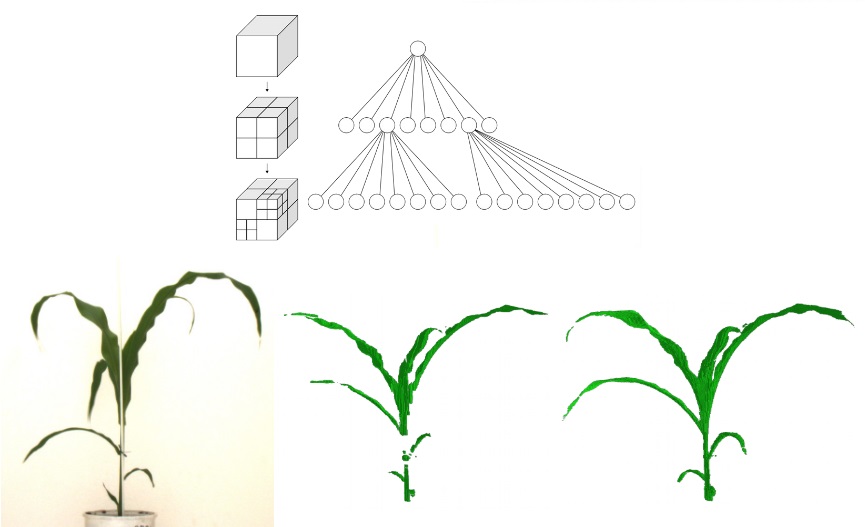 space carving 3D reconstruction plant image