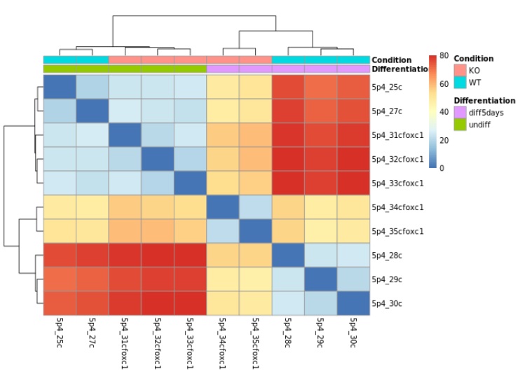 differential expression analysis perfect example heatmap